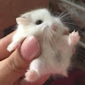 wonj010101@gmail.com님의 프로필 사진