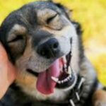 이미진님의 프로필 사진