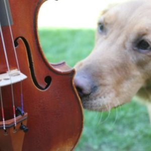 바이올린님의 프로필 사진