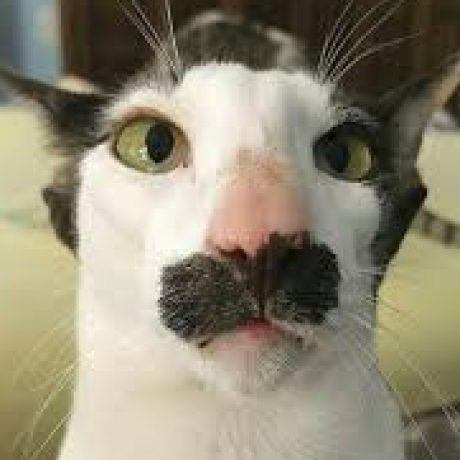 전민호님의 프로필 사진